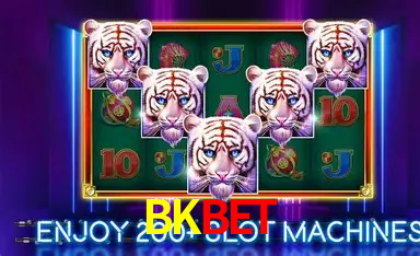 Platform Technology BKBET
